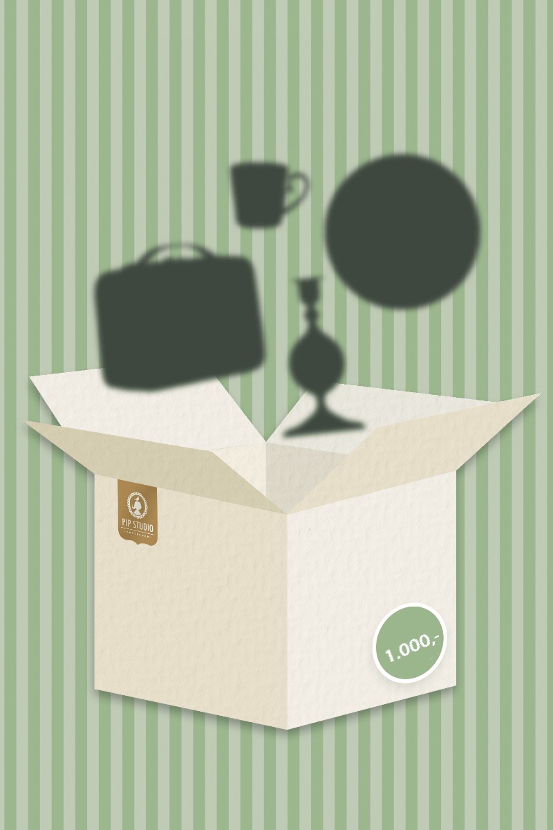 Pip Studio Mystery Box